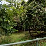 Indabushe Eco Lodge_Nyala Venue Hall